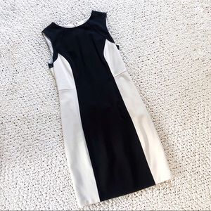 NWT Paneled Black & White Dress